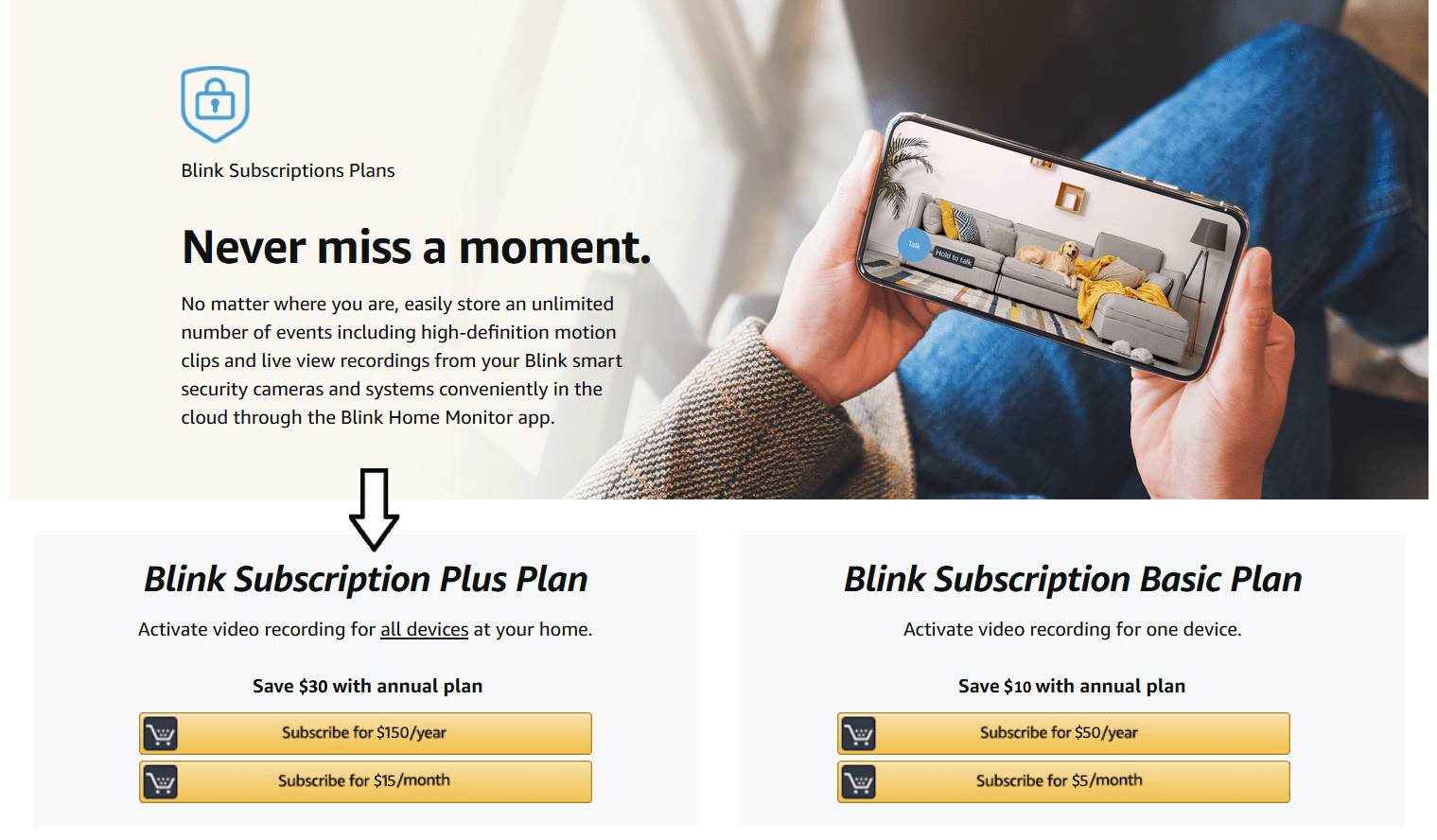 Blink Plus Plan Monthly